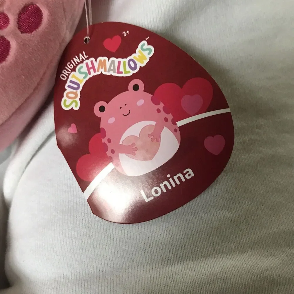 Squishmallows Valentine Lonina the Frog  Brand New 4.5